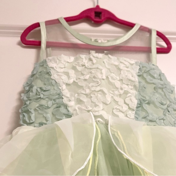 Trish Scully 🐸 👑 Disney Princess Tiana/Princess and the Frog Magical Gown EUC - Picture 10 of 12